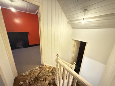 Picture 15